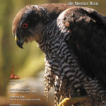 2024-07-07 - Exposición de fotografía - Nestor Rico - Fauna salvaje