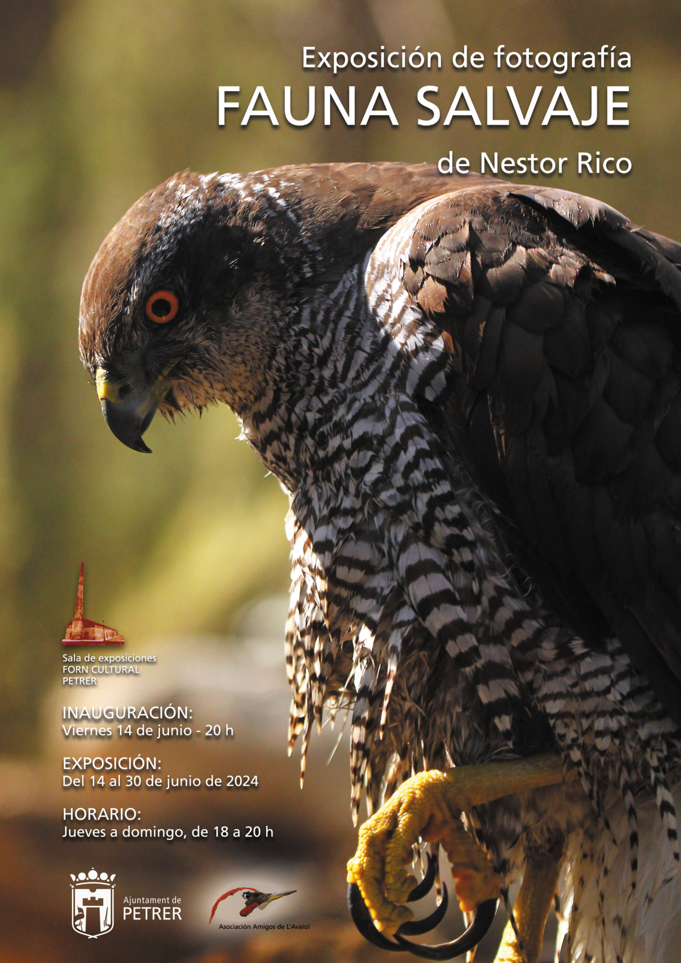 2024-07-07 - Exposición de fotografía - Nestor Rico - Fauna salvaje