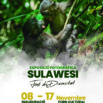 2024-11-17 - Exposición fotográfica - SULAWESI - Font de diversitat