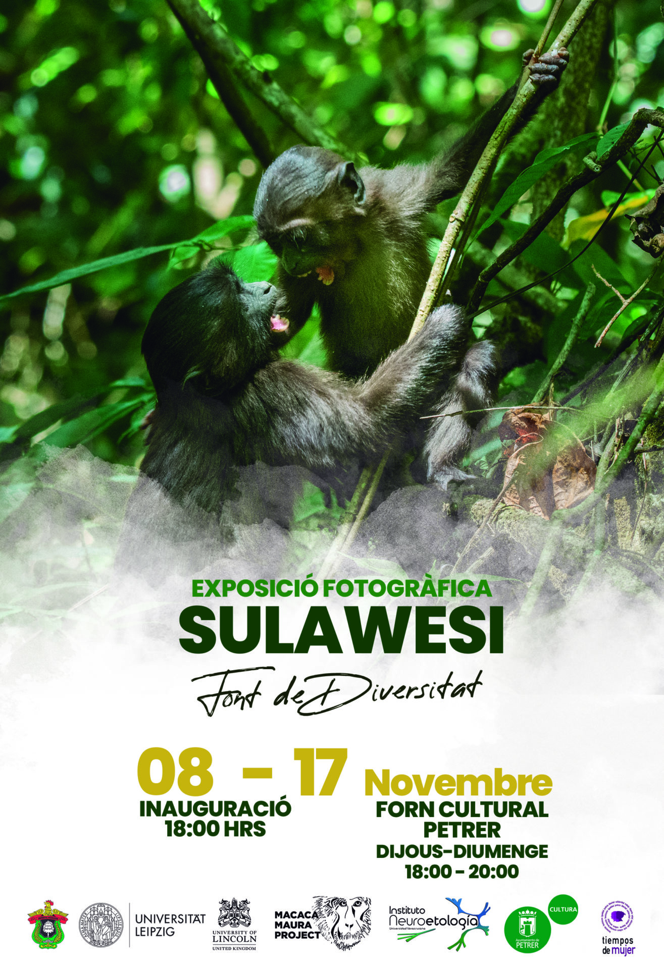 2024-11-17 - Exposición fotográfica - SULAWESI - Font de diversitat