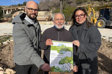 Dia del Arbol