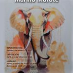 2026-02-22 - Exposició de pintura - Marino Morote
