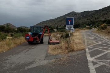 Desbroce_caminos_rurales_Petrer