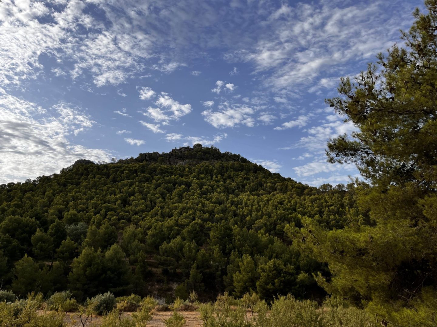Archivo_parajes_naturales_Petrer_2jpg