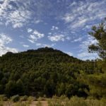 Archivo_parajes_naturales_Petrer_2jpg
