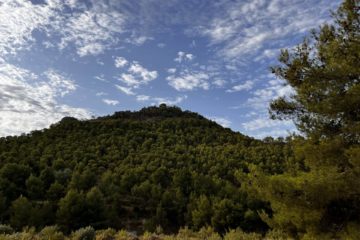 Archivo_parajes_naturales_Petrer_2jpg